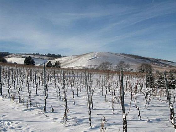 Weingut Gehlen-Cornelius - Photo5