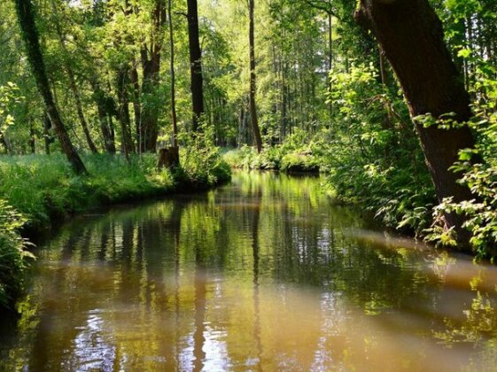 Am Waldrand Spreewald - Photo3