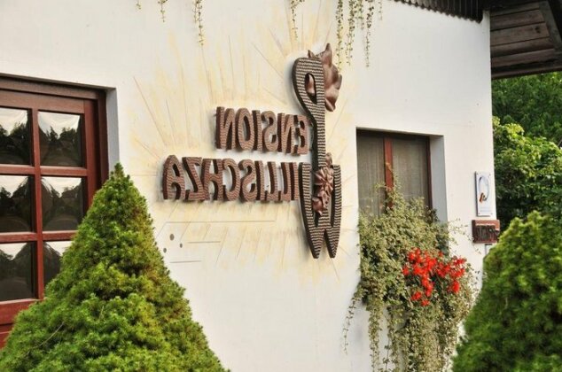 Pension Willischza - Photo2