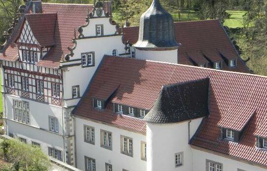 Schloss Buchenau - Photo4