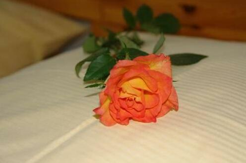 Hotel Zur Herberge Celle - Photo2