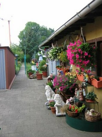 Gastehaus Seestern - Photo4