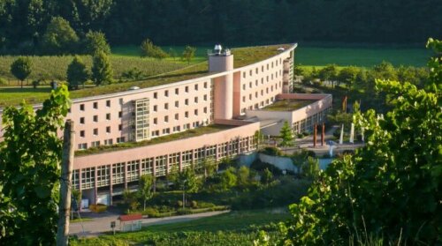 Dorint Hotel Durbach Schwarzwald
