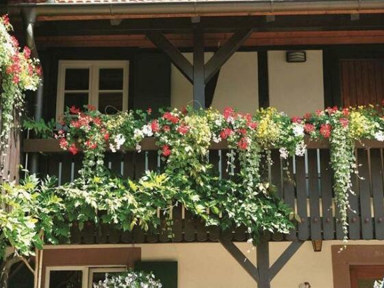 Weingut Alfred Huber - Photo2