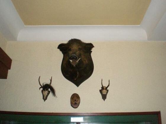 Gasthaus-Pension Waldesruhe - Photo2
