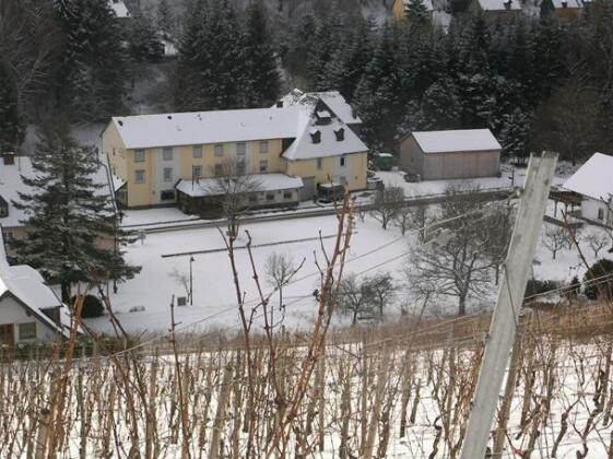 Hotel Dampfmuhle Enkirch - Photo2