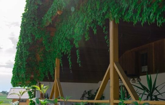 Hotel Gasthof Altmann - Photo4
