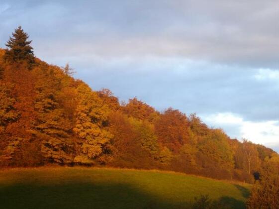 Hotel & Landgasthaus Pfeifertal - Photo4