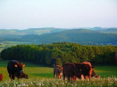 Panorama Gasthof Stemler - Photo3