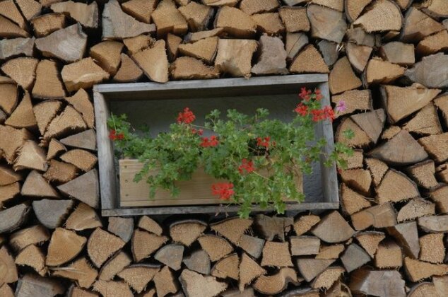 Gastehaus Alte Bergmuhle - Photo3