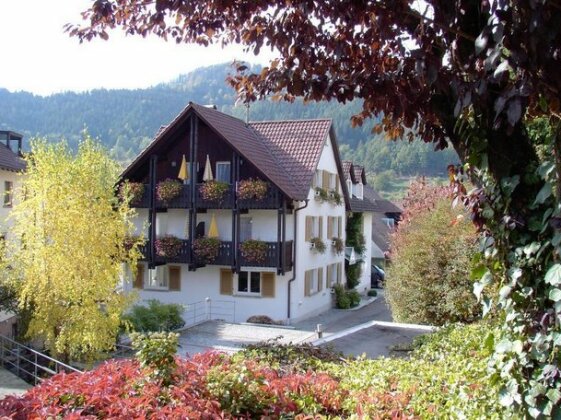 Hotel am Muhlbach - Photo4