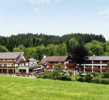 Hotel Gruner Wald
