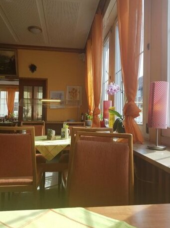 Stadthotel Traube - Photo3