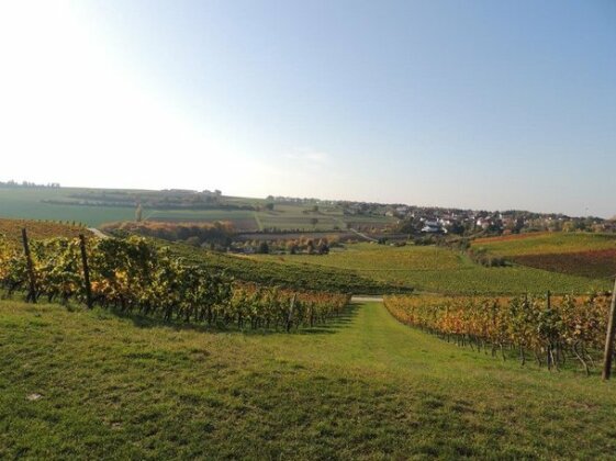 Weingut Seck - Photo3