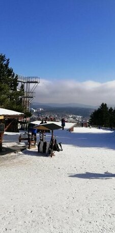 Waldhaus im Okertal - Photo4