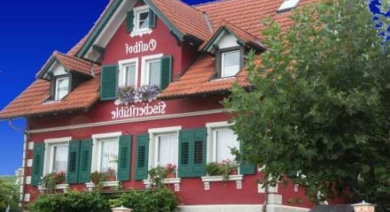 B&B Fischerstuble - Photo4