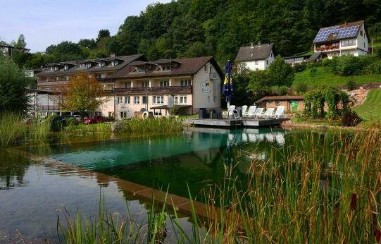 11 Best Hotels in Heimbuchenthal, Germany