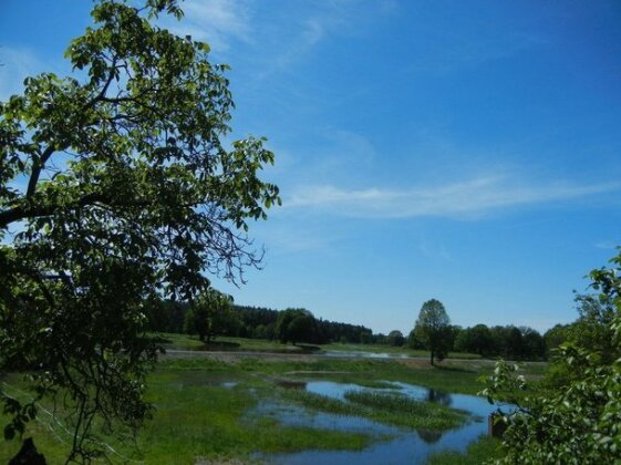 Gutshof Zum Adlernest - Photo2