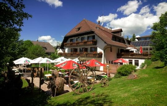 Hotel Cortina Hochenschwand - Photo4