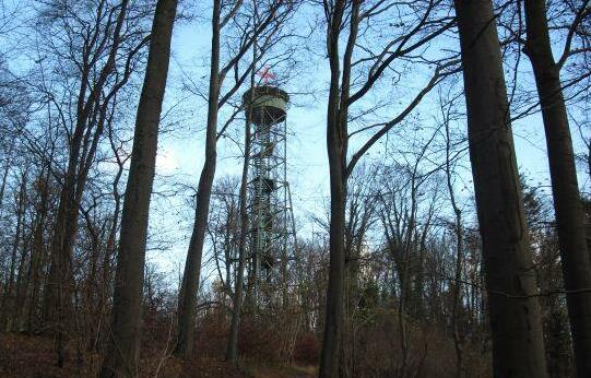 Hotel Schauinsland Horn-Bad Meinberg - Photo2