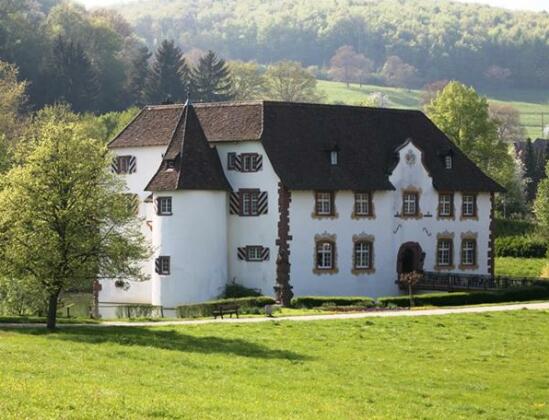 Gastehaus am Wasserschloss & Restaurant Wasserschloss Inzlingen - Photo5