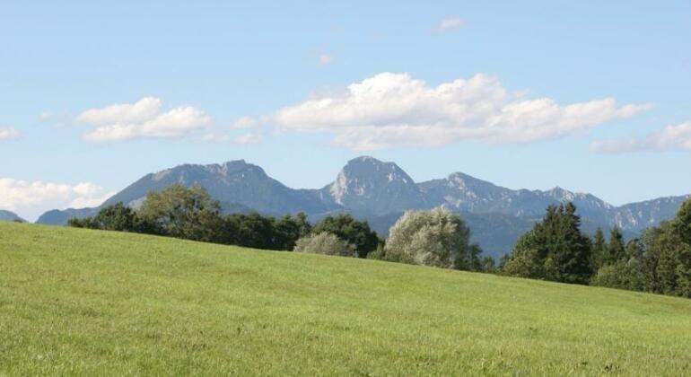 Hotel-Gasthof Kramerwirt - Photo4