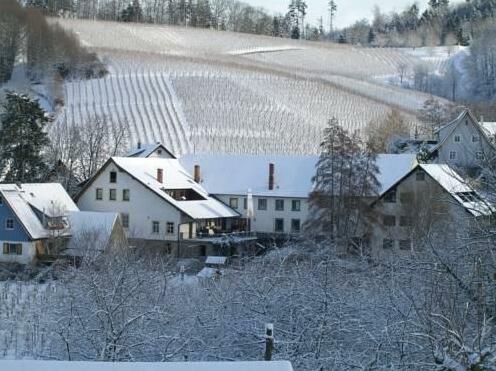 Hotel Faxe Schwarzwalder Hof - Photo2