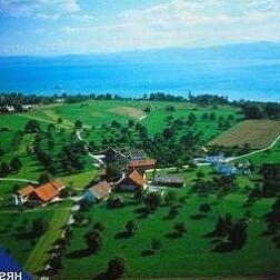 Dorfkrug - Photo4