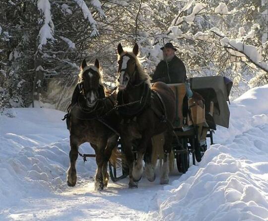 Gastehaus Becher - Photo5