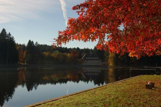 Hotel Waldsee Lindenberg im Allgau - Photo2