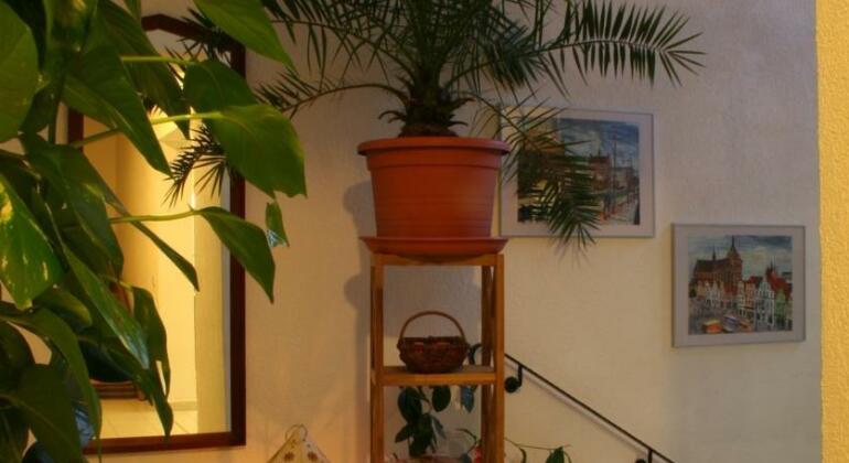 Hotel Nordic Spreewald - Photo2