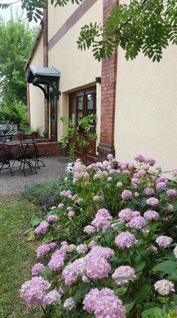 Pension Am Holzgraben - Photo4