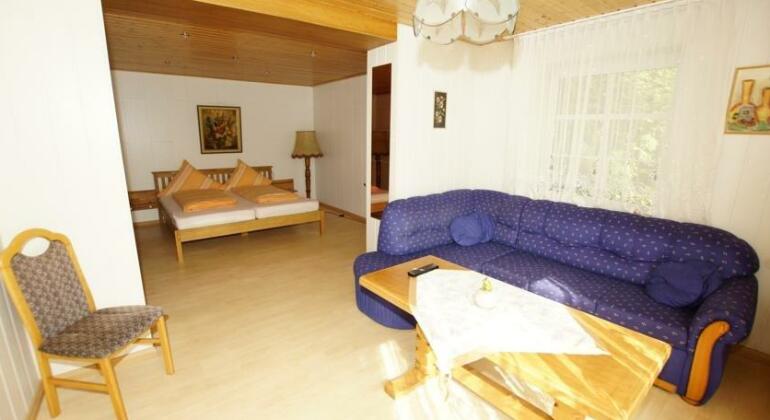Pension Zum Froschkonig - Photo3