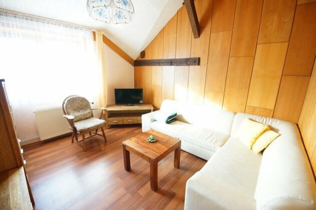 Pension Zum Froschkonig - Photo5