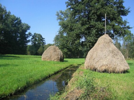 Spreewald Pension Tannenwinkel - Photo5