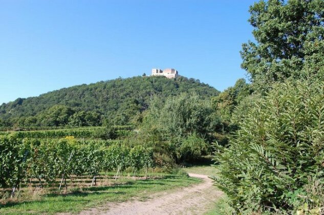Landgasthof Jagerstubchen - Photo4