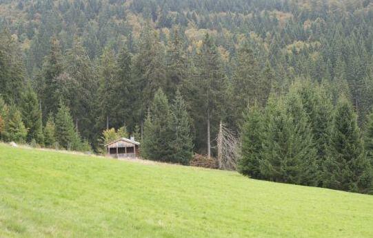 Hotel Grossbach - Photo2