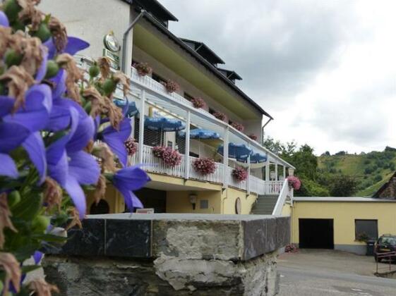 Hotel Zur Brucke Minheim - Photo4
