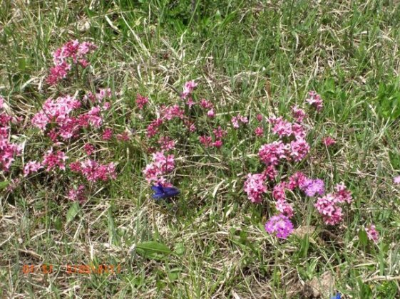 Neuerbaute Ferienhaushaelfte 4erspitzblick - Photo4