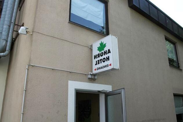 Ahorn Hotel - Photo4