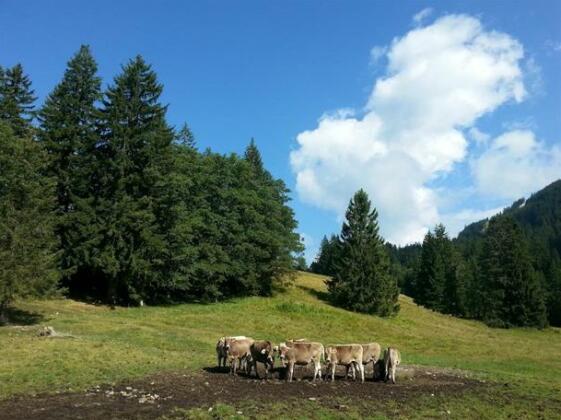 Landgasthof Zum Alten Reichenbach - Photo4