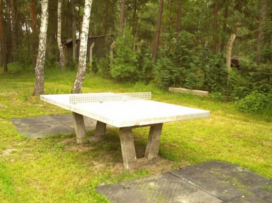 Ferienhaus Badesee im Spreewald - Photo3