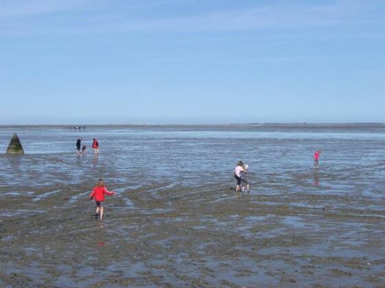 Strandhotel Neuharlingersiel - Photo5