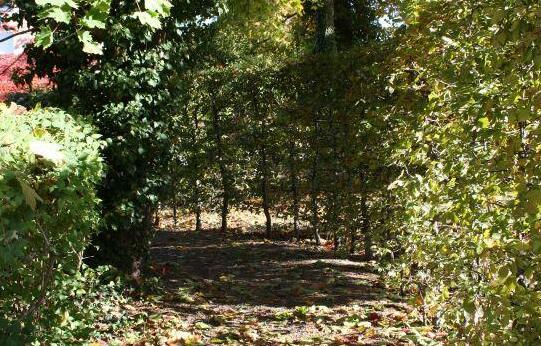 Hotel Zum Gutshof - Photo4