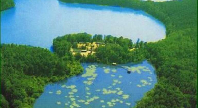 Waldsee Hotel am Wirchensee - Photo3