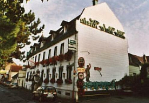 Hotel Alter Vater Rhein