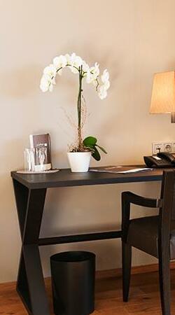 Hotel Restaurant Spa Torkel - Photo4