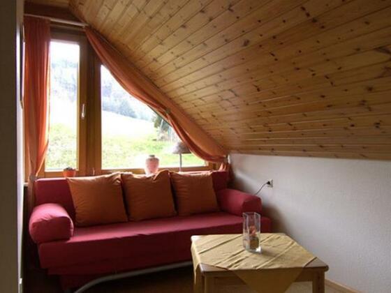 Gasthaus Zur Linde Oberharmersbach - Photo2