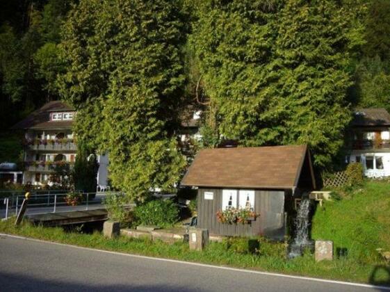 Hotel Schwarzwald-Idyll - Photo2