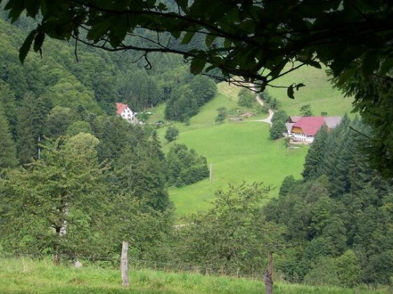 Stinneshof - Photo3
